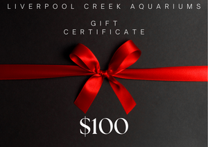 Liverpool Creek Aquariums Gift Card $100