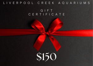 Liverpool Creek Aquariums Gift Card $150