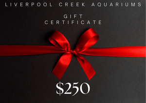 Liverpool Creek Aquariums Gift Card