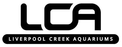 Liverpool Creek Aquariums