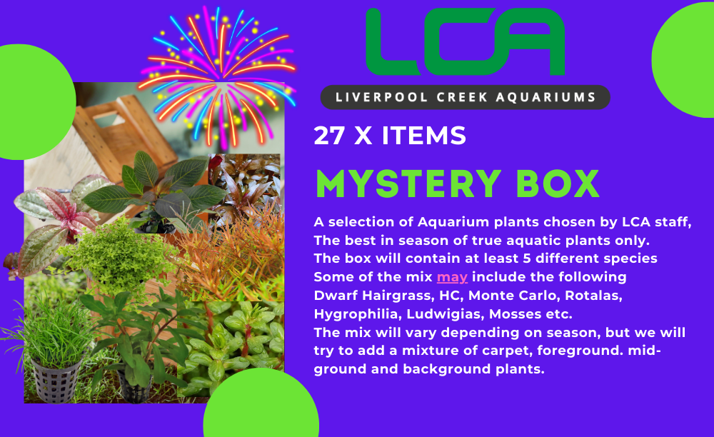 LCA Liverpool Creek Aquariums Mystery Box 27 items mixed aquarium plants