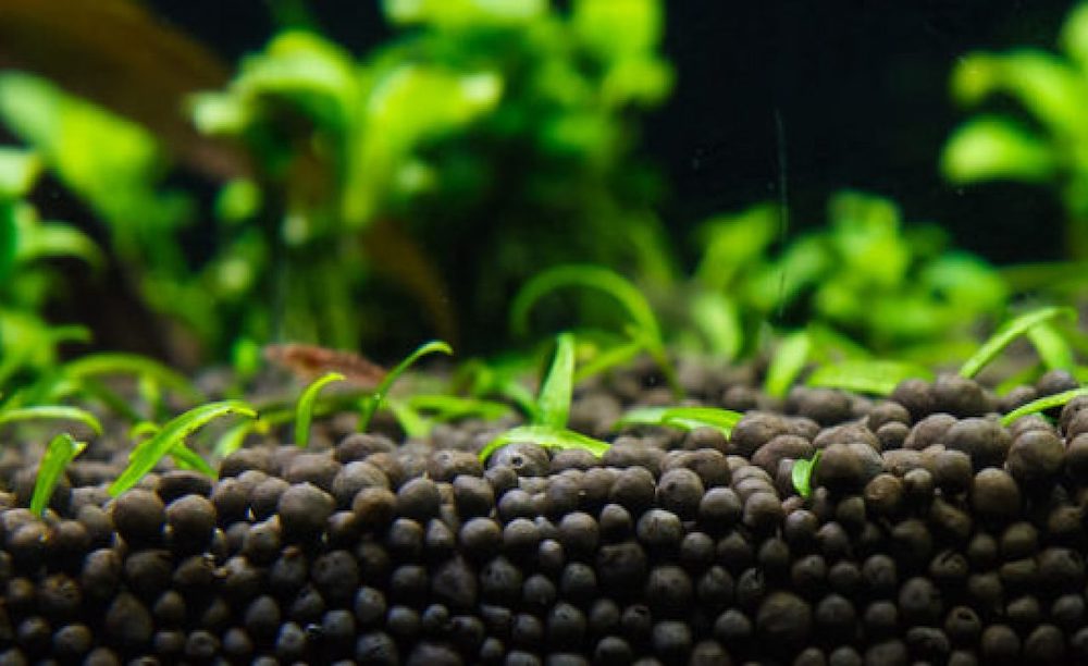 Substrate Depth - Liverpool Creek Aquariums