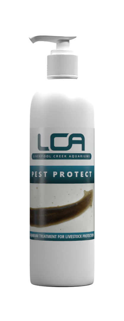 Pest Protect ( treats 2000Litres)
