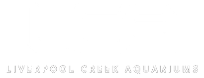 Liverpool Creek Aquariums